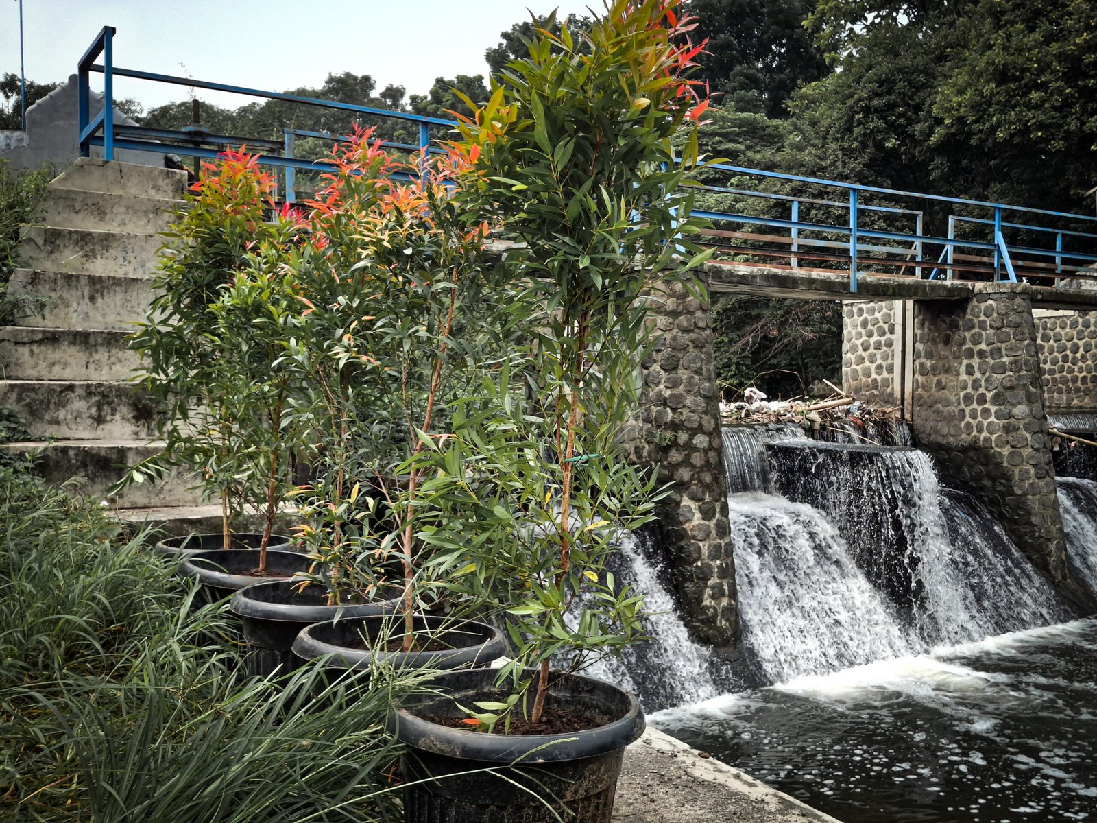 foto hasil kegiatan river in the classroom